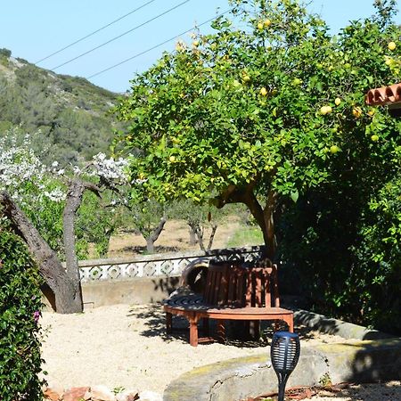 Casa Jiby Lejlighed Llosa de Camacho Eksteriør billede