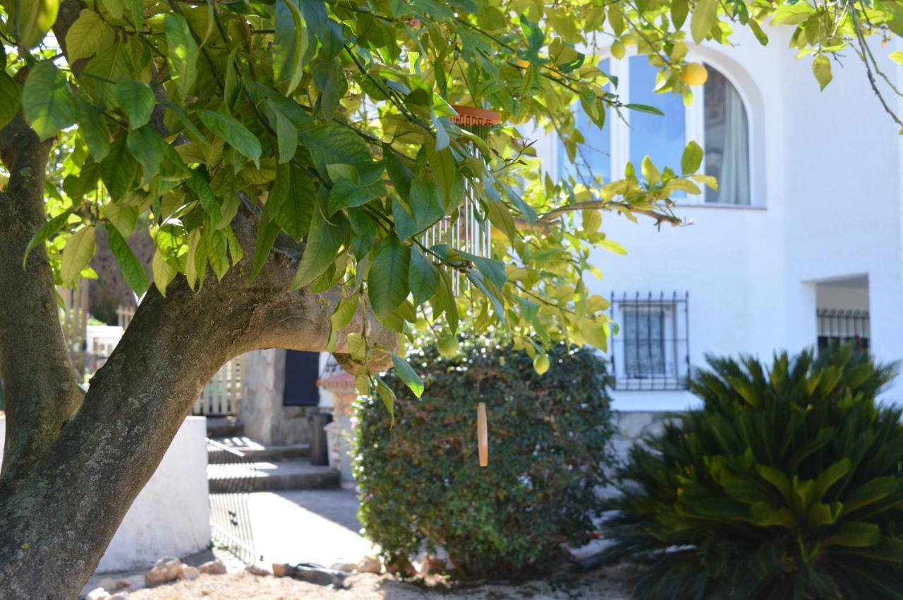Casa Jiby Lejlighed Llosa de Camacho Eksteriør billede